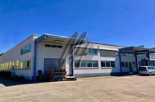 Gewerbeimmobilie mieten in 61184 Karben, KEINE PROVISION ✓ SCHNELL VERFÜGBAR ✓ Lager (1.200 m²) zu vermieten