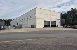 Gewerbeimmobilie mieten in Industriestr. 31, 33161 Hövelhof, Lagerhalle + Außenfläche / Außenlager