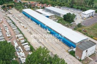 Gewerbeimmobilie mieten in 06193 Plötz, Großflächige Industrieareal mit Bimsch-Genehmigung und Kranhallen zu vermieten
