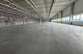 Büro zu mieten in 67547 Innenstadt, JETZT BESICHTIGEN | ca. 9.000 m² Lagerfläche + Büro | Rampe + ebenerdig