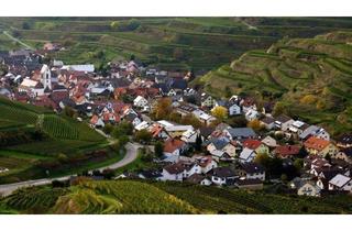 Grundstück zu kaufen in 79235 Vogtsburg, Baugrundstück in Bestlage in Vogtsburg-Oberbergen