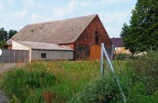 Grundstück zu kaufen in 04916 Schönewalde, 1.276 m² Baugrundstück mit Entwicklungspotenzial in ruhiger Lage von Freywalde