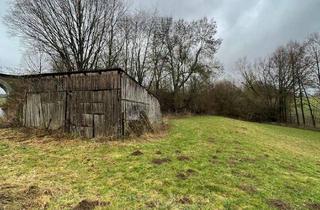 Grundstück zu kaufen in 37581 Bad Gandersheim, Grundstück mit Scheune am Skulpturenweg