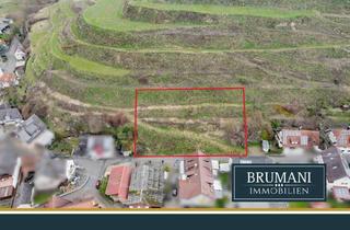 Grundstück zu kaufen in 79235 Vogtsburg, BRUMANI | attraktives Baugrundstück mit 1000 m² und Hanglage in Vogtsburg am Kaiserstuhl