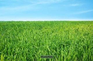 Grundstück zu kaufen in Das Hintere Bärtal, 07586 Kraftsdorf, Landwirtschaftsflächen