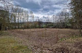 Grundstück zu kaufen in 02681 Schirgiswalde, Entwicklungsgrundstück für Einfamilienhausquartier