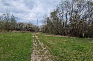 Immobilie kaufen in 02681 Schirgiswalde, Entwicklungsgrundstück für emissionsarmes Gewerbe oder Photovoltaik