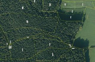 Gewerbeimmobilie kaufen in 92676 Eschenbach, Großzügiges Waldgrundstück mit ca. 18.778 m² bei Eschenbach!