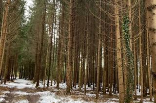 Gewerbeimmobilie kaufen in 86510 Ried, Kleinere Waldfläche!