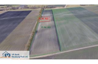 Gewerbeimmobilie kaufen in 86641 Rain, Verkauf einer landwirtschaftlichen Ackerläche bei Staudheim im Bieterverfahren!