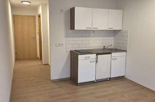 Wohnung mieten in Jungholzstr . 1c, 76726 Germersheim, Frisch sanierte 1-Zimmer-Wohnung mit Einbauküche – Erdgeschoss