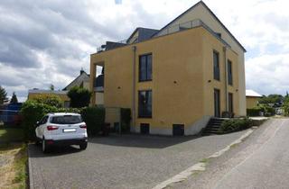 Wohnung mieten in 53347 Alfter, Gepflegte 2-Zimmer-Dachgeschoss-Wohnung in einem Dreifamilienhaus in Alfter-Ort