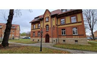 Wohnung mieten in Stresemannstrasse 17, 06484 Quedlinburg, KFW Effizienz Haus Denkmal 3 Zimmer Maisonette-Wohnung gute Lage zum Zentrum Sonnenbalkon