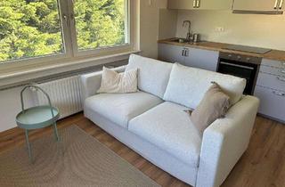 Wohnung mieten in Ruhesteinstraße 14, 77889 Seebach, 2-Zimmer-Wohnung mit Küche und Badezimmer voll möbliert ab sofort