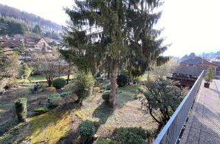 Wohnung mieten in Am Fürstenweiher 26/2, 69118 Ziegelhausen, Großzügige 130 m² Terrassenwohnung in Heidelberg-Ziegelhausen