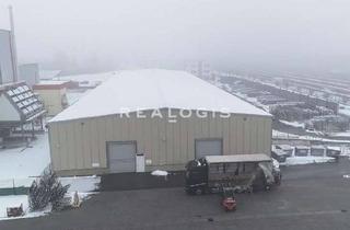 Gewerbeimmobilie kaufen in 06242 Braunsbedra, Braunsbedra | ca. 6.350 m² Produktions- und Lagerfläche | Kranbahn