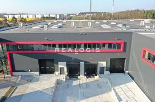 Gewerbeimmobilie mieten in 14974 Ludwigsfelde, Provisionsfrei - Hallenfläche an der A10 ab sofort verfügbar!