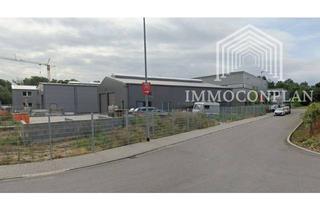 Büro zu mieten in 64625 Bensheim, Größe XL Lagerhalle mit Büro ab 01.08.2026 verfügbar
