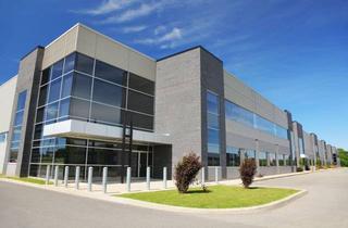 Gewerbeimmobilie kaufen in 64625 Bensheim, Gewerbeobjekt mit Entwicklungsgrundstück im sale and lease back zu verkaufen