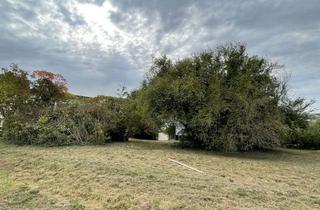 Grundstück zu kaufen in 71665 Vaihingen an der Enz, Attraktives Baugrundstück in zentraler Lage in Vaihingen/Enz - EFH / DH / RH möglich