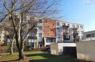 Wohnung mieten in 01069 Dresden, 1-Raum-Wohnung - zentral in Dresden, ruhig gelegen