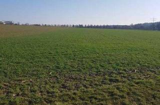 Gewerbeimmobilie kaufen in 70771 Leinfelden-Echterdingen, Landwirtschaftliches Grundstück in Leinfelden-Echterdingen zu verkaufen