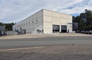 Gewerbeimmobilie mieten in Industriestr. 31, 33161 Hövelhof, Lagerhalle + Außenfläche / Außenlager