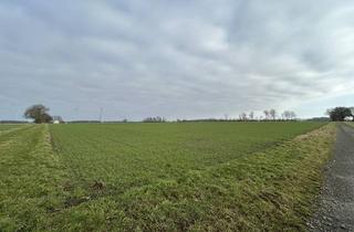 Immobilie kaufen in 27251 Neuenkirchen, Bieterverfahren bis 20.03.26! 3,4 ha Ackerfläche in Scholen/Neuenkirchen!