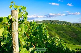 Lager kaufen in 54340 Klüsserath, Ehem. Weingut mit Wohn-, Gästehaus und Mehrzweckhalle