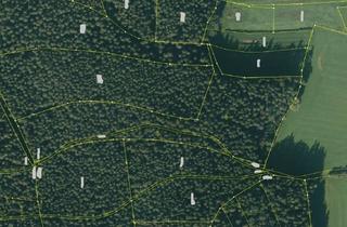 Immobilie kaufen in 92676 Eschenbach, Großzügiges Waldgrundstück mit ca. 18.778 m² bei Eschenbach!