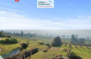 Wohnung kaufen in 88709 Meersburg, Meersburg - Einmalige Lage - 180° See- und Bergsicht 2,5 Zimmerwohnung - vis à vis der Insel Mainau