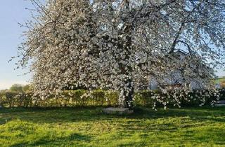 Bauernhaus kaufen in 35781 Weilburg, Weilburg - Große Hofreite, Bauernhof
