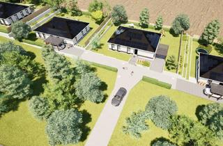 Haus kaufen in Obere Trift 24, 37586 Dassel, Dassel - Bezugsfertiger Neubau-Bungalow in Dassel-Sievershausen!