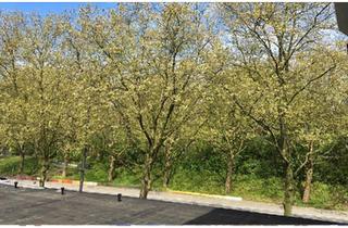 Wohnung kaufen in 20537 Hamburg, Hamburg - City Wohnung Hamburg Hamm