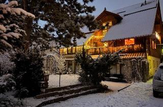 Haus kaufen in 15732 Schulzendorf, Schulzendorf - Großzügiges Zweifamilienhaus mit zusätzlicher Gewerbefläche +Pool