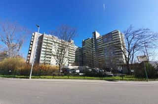 Wohnung mieten in Südring 3A, 65795 Hattersheim, Gepflegte 1 Zimmer Wohnung mit Fernsicht zu vermieten