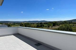 Penthouse mieten in 63571 Gelnhausen, **Neuwertiges Penthouse mit EBK und großer Dachterrasse mit Fernblick**