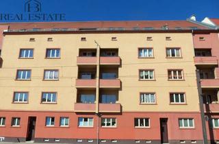 Wohnung mieten in Große Diesdorfer Straße 16a, 39108 Stadtfeld Ost, Gemütliches Stadtleben: 3-Zimmer-Wohnung in Magdeburg-Stadtfeld-Ost