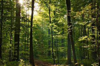 Wohnung mieten in Hans-Driesch-Straße 14, 04179 Leutzsch, *****Neubau*****ERSTBEZUG*****Barrierefrei***** 2 Terrassen*****#3