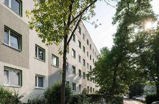 Wohnung mieten in Lilienstraße 57, 06122 Nördliche Neustadt, Platz zum Toben