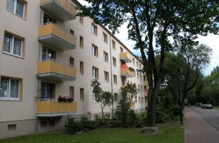 Wohnung mieten in Poststraße, 06242 Braunsbedra, Modern wohnen im Herzen des Geiseltals – 2-Raum-Wohnung mit Balkon