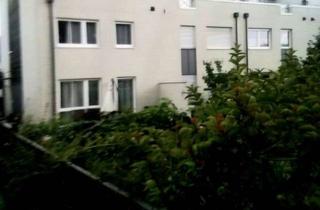 Wohnung mieten in Dietrich-Bonhoeffer-Weg 43, 60389 Nordend-Ost, Rarität im Zentrum: Modernes Eckhaus mit gr. Privatgarten Nähe Günthersburgpark- Pet friendly