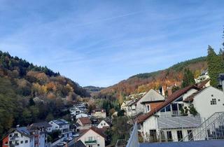 Wohnung mieten in 69118 Ziegelhausen, 4-Zi-Maisonette-Wohnung mit großer Aussichtsterrasse und EBK