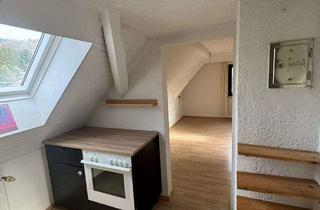 Wohnung mieten in Robert-Bollschweiler-Straße 16, 69118 Ziegelhausen, Charmante 1-Zimmer Dachgeschosswohnung in Heidelberg-Ziegelhausen