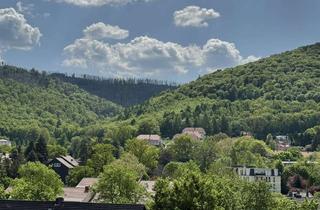 Wohnung mieten in Ilsenburger Straße 93, 38667 Bad Harzburg, Pfiffige Apartments auf der Sonnenseite von Bad Harzburg!