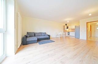 Wohnung mieten in Elbstraße, 01809 Heidenau, Attraktive 1-RW im 1.OG* modern saniert & möbliert* EBK* Tageslichtbad mit Dusche* TG-SP* zentral*