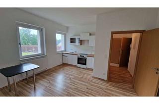 Wohnung mieten in Lessingstraße 5a, 04571 Rötha, Vollständig renovierte 1-Zimmer-Wohnung mit Einbauküche in Rötha