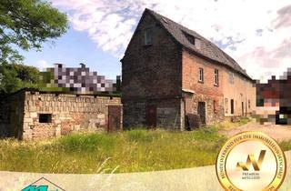 Bauernhaus kaufen in 06231 Tollwitz, altes Bauernhaus mit ca. 1600 m² Grundstück zu verkaufen