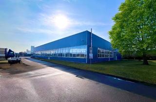 Gewerbeimmobilie kaufen in 99631 Weißensee, vermietete, hochwertige Produktions- oder Logistikhalle mit 4x Kranbahnen