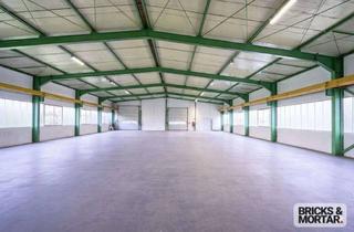 Gewerbeimmobilie mieten in 89281 Altenstadt, Lager- und Produktionshalle ab sofort verfügbar